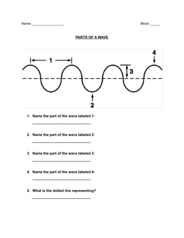  Template Parts Of A Wave Labeling Worksheet