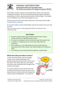 Perineal urethrostomy