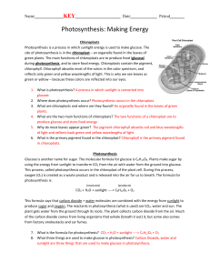 AK-photosynthesis-worksheet