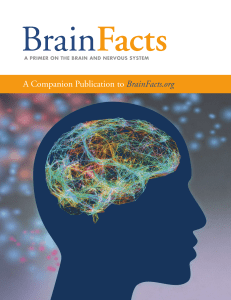 Brain Facts PDF with links