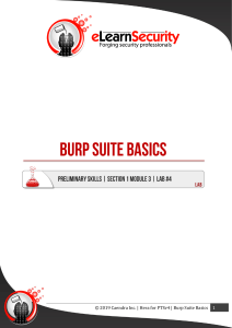 Burp Suite Basics