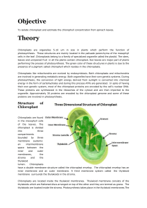 Chloroplast isolation