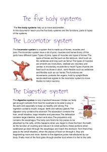 The five body systems