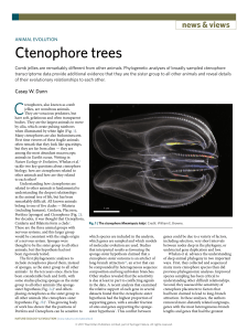 ctenophore-trees compress
