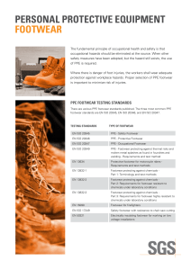 PPE Safety Shoes