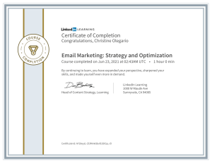 Email Marketing Strategy and Optimization