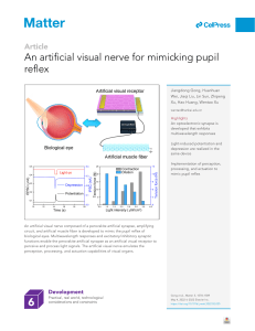 An artificial visual nerve for mimicking pupil reflex