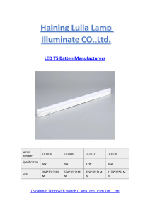 LED T5 Batten Manufacturers.docx