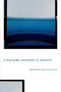 The future history of water