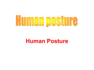 1-HUMAN POSTURE