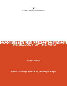 COGNITIVE NEUROSCIENCE