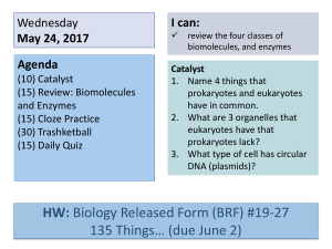 2 - Biomolecules and Enzymes (1)