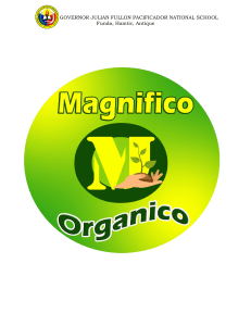 Magnifico Organico (business plan)