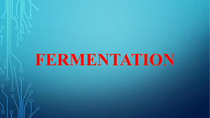 Physiology of Microorganisms fermentation