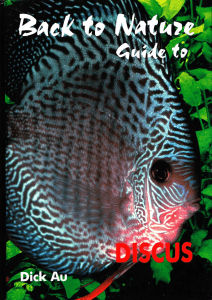 Back to Nature - Guide to Discus