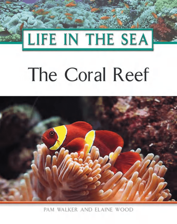 Life in the sea the coral reef
