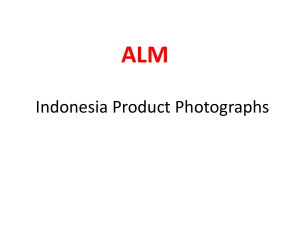 Indonesia Product Photographs (2)