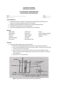 BIO101 LABORATORY EXERCISE 4 Cellular Energy Transformations