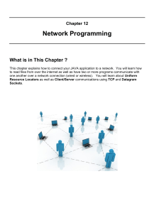 COMP1406 Ch12 NetworkProgramming