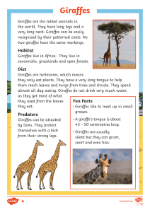 t-tp-2550295-giraffes-fact-files ver 1