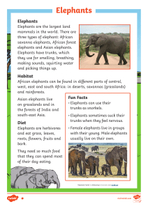 t-tp-2549857-elephants-fact-files ver 1