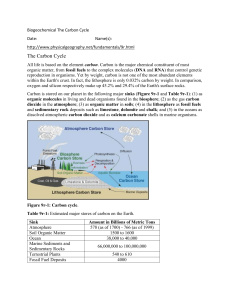 Carbon cycle pract 1