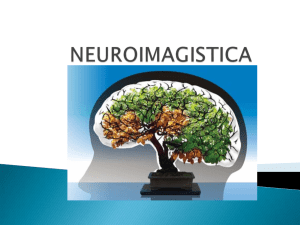 Neurologie Imagistica