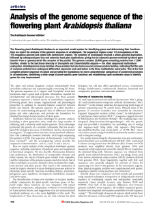 Analyses of the genome sequence in Arabidopsis Thaliana