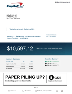 Capital-One-Bank-Statement-BankStatements.net 