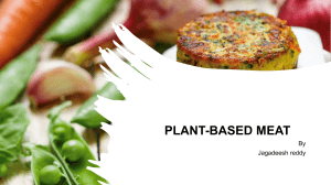 PLANT BASED MEAT