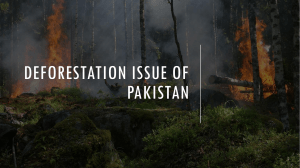 Deforestation Issue of Pakistan