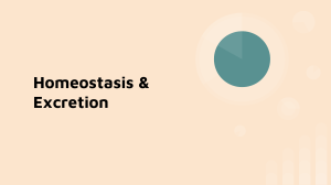  Homeostasis   Excretion  2 