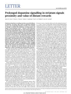 Dopamine Signaling in Striatum & Reward Proximity