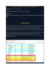 Dynamic Malware Analysis Example