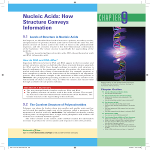 CHAPTER-9-NUCLEIC-ACIDS