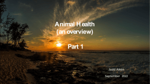 Notes   Animal Health Overview 2022 1X
