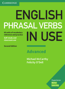 Raymond Murphy - english In Use vocabulary grammar phrasal elementary advanced intermediate collocation (2022)