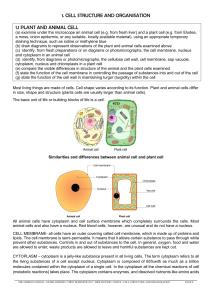 Biology IGCSE notes 