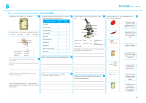Cells and Organisation Foundation Revision Mat