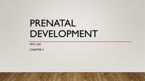 2 3 Prenatal Development
