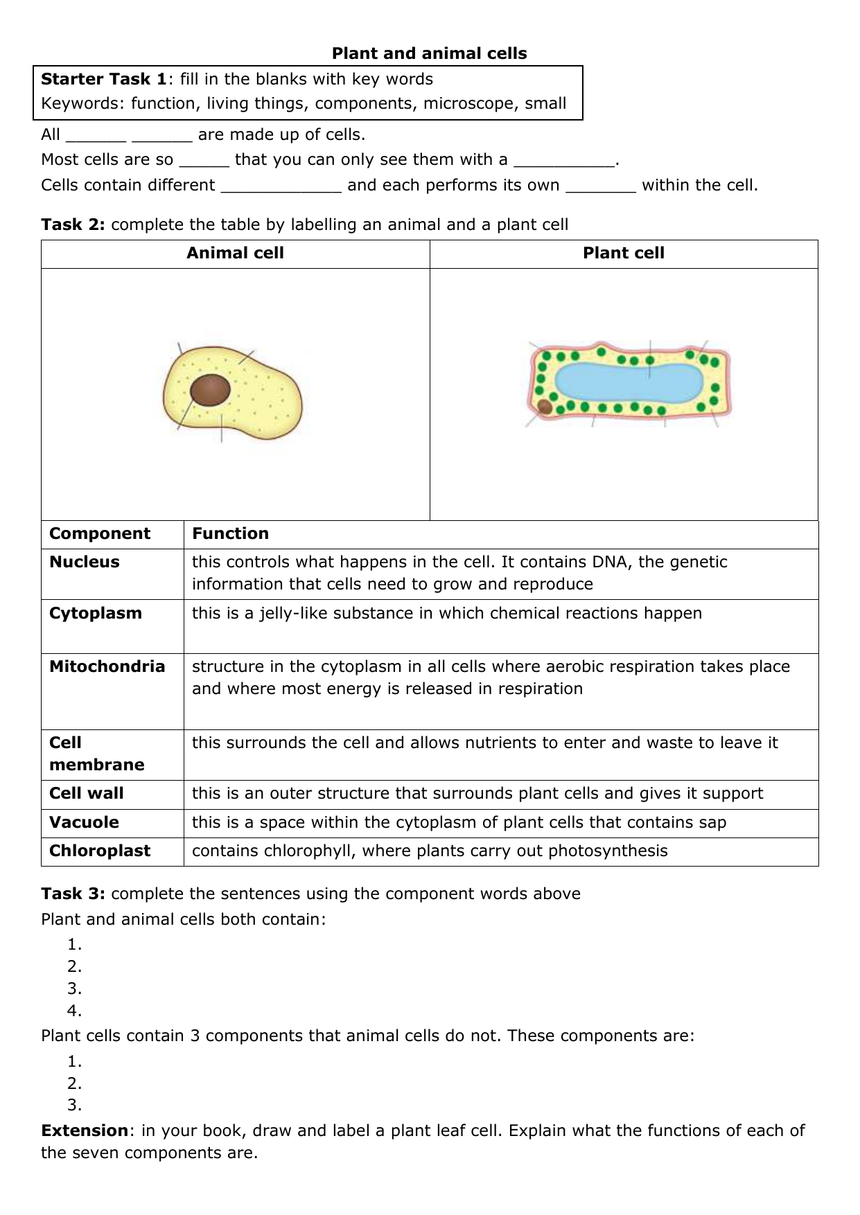 Plant-and-animal-cells-task DOCX