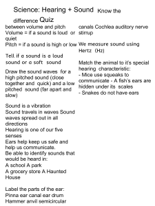 hearing and sound quiz 