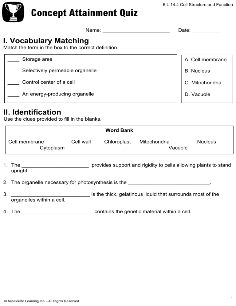 Cell Structure Function Quiz INTERVENTION