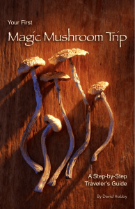 Magic Mushroom Primer