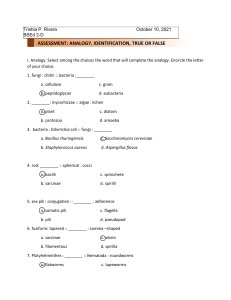 Biology Assessment: Analogy, Identification, True/False