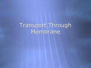 Transport notes - Test 