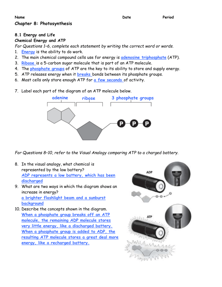 photosynthesis case study gizmo answers