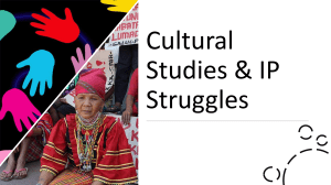 Cultural-Studies-IP-Struggles