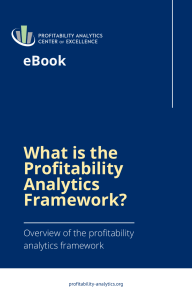 What is the Profitability Analytics Framework  1671144561