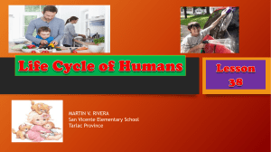 Lesson 38 science life cycle of human
